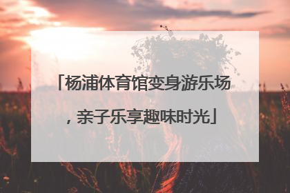 杨浦体育馆变身游乐场，亲子乐享趣味时光