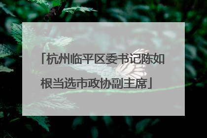 杭州临平区委书记陈如根当选市政协副主席