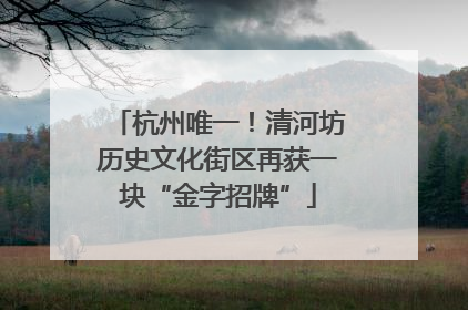 杭州唯一！清河坊历史文化街区再获一块“金字招牌”