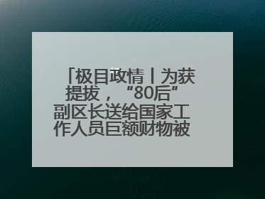 极目政情丨为获提拔，“80后”副区长送给国家工作人员巨额财物被“双开”