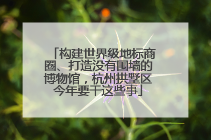 构建世界级地标商圈、打造没有围墙的博物馆，杭州拱墅区今年要干这些事