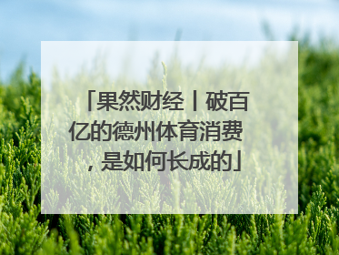 果然财经丨破百亿的德州体育消费，是如何长成的