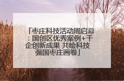 枣庄科技活动周启幕：国创区优秀案例+千企创新成果 共绘科技强国枣庄画卷