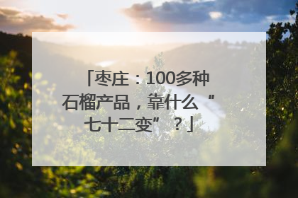 枣庄：100多种石榴产品，靠什么“七十二变”？