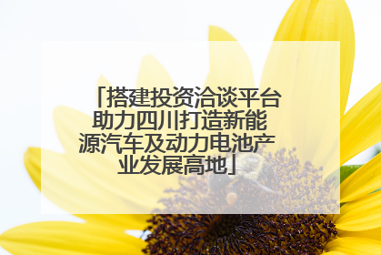 搭建投资洽谈平台 助力四川打造新能源汽车及动力电池产业发展高地