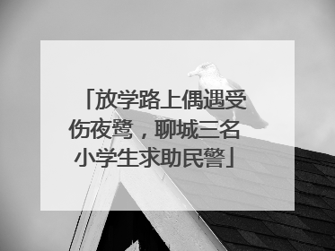 放学路上偶遇受伤夜鹭，聊城三名小学生求助民警