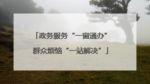 政务服务“一窗通办” 群众烦恼“一站解决”