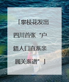 攀枝花发出四川首张“户籍人口直系亲属关系谱”