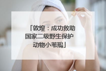 敦煌：成功救助国家二级野生保护动物小苇鳽