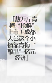 数万斤青梅“抢鲜”上市！成都大邑这个小镇靠青梅“酿出”亿元经济