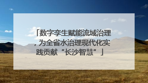 数字孪生赋能流域治理，为全省水治理现代化实践贡献“长沙智慧”