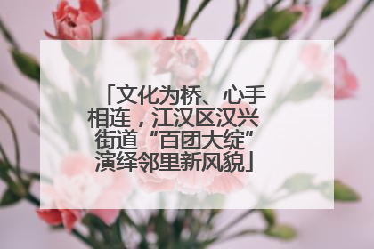 文化为桥、心手相连，江汉区汉兴街道“百团大绽”演绎邻里新风貌