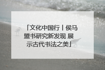 文化中国行丨侯马盟书研究新发现 展示古代书法之美