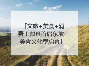 文旅+美食+消费！郏县首届东坡美食文化季启幕