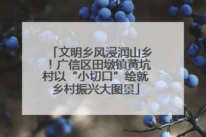 文明乡风浸润山乡！广信区田墩镇黄坑村以“小切口”绘就乡村振兴大图景