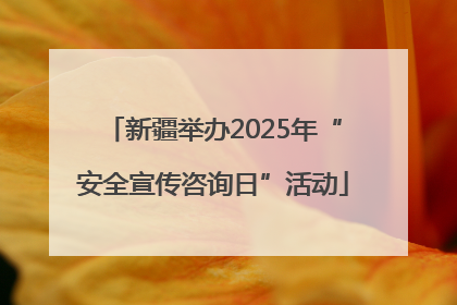 新疆举办2025年“安全宣传咨询日”活动