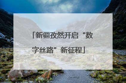 新疆孜然开启“数字丝路”新征程