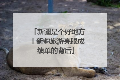 新疆是个好地方丨新疆旅游亮眼成绩单的背后