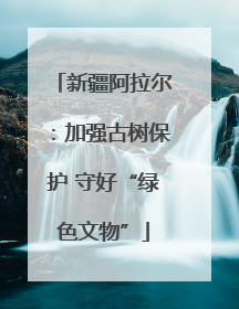 新疆阿拉尔：加强古树保护 守好“绿色文物”