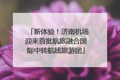 新体验！济南机场迎来首批航旅融合国际中转航线旅游团