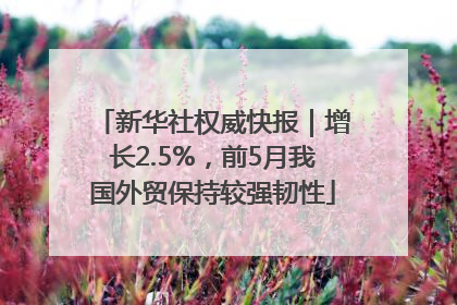 新华社权威快报｜增长2.5%，前5月我国外贸保持较强韧性