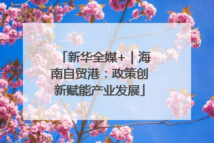 新华全媒+｜海南自贸港：政策创新赋能产业发展