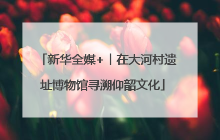 新华全媒+丨在大河村遗址博物馆寻溯仰韶文化