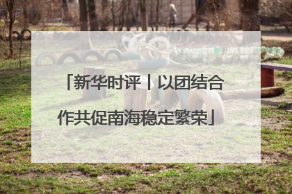 新华时评丨以团结合作共促南海稳定繁荣