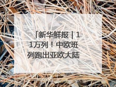 新华鲜报｜11万列！中欧班列跑出亚欧大陆“新时速”