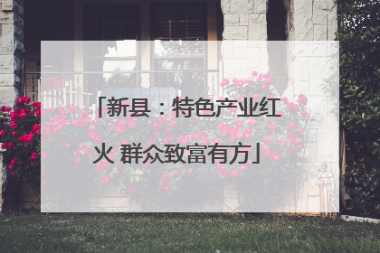 新县：特色产业红火 群众致富有方
