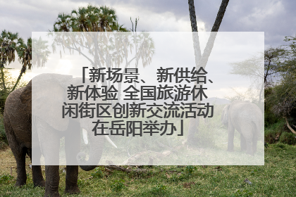 新场景、新供给、新体验 全国旅游休闲街区创新交流活动在岳阳举办