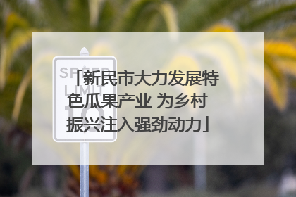 新民市大力发展特色瓜果产业 为乡村振兴注入强劲动力