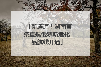 新通道！湖南首条直航俄罗斯危化品航线开通