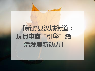 新野县汉城街道：玩具电商“引擎”激活发展新动力