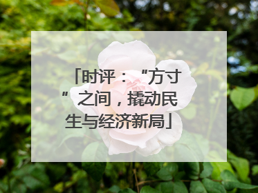 时评：“方寸”之间，撬动民生与经济新局