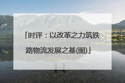 时评：以改革之力筑铁路物流发展之基(图)