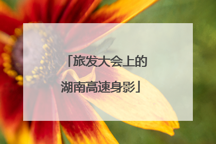 旅发大会上的湖南高速身影