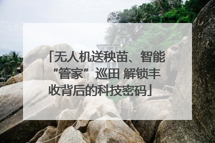 无人机送秧苗、智能“管家”巡田 解锁丰收背后的科技密码