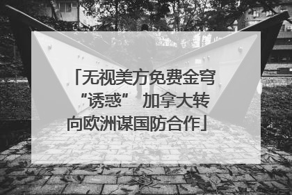 无视美方免费金穹“诱惑” 加拿大转向欧洲谋国防合作