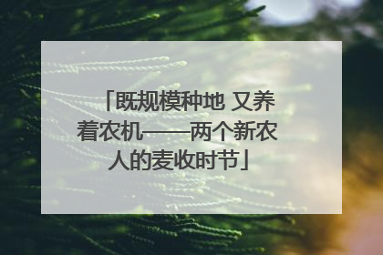 既规模种地 又养着农机——两个新农人的麦收时节