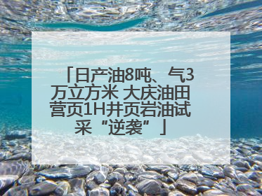 日产油8吨、气3万立方米 大庆油田营页1H井页岩油试采“逆袭”