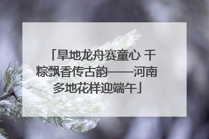 旱地龙舟赛童心 千粽飘香传古韵——河南多地花样迎端午