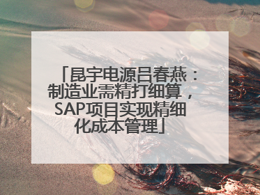 昆宇电源吕春燕：制造业需精打细算，SAP项目实现精细化成本管理