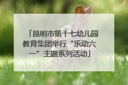 昆明市第十七幼儿园教育集团举行“乐动六一”主题系列活动