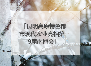 昆明高原特色都市现代农业亮相第9届南博会