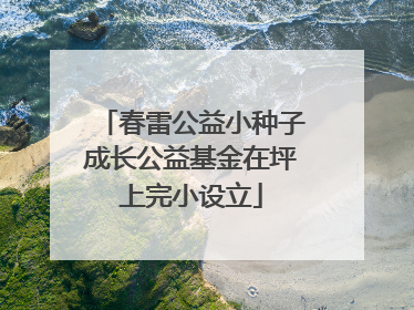 春雷公益小种子成长公益基金在坪上完小设立