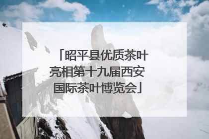 昭平县优质茶叶亮相第十九届西安国际茶叶博览会