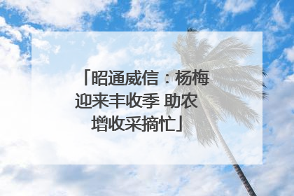 昭通威信：杨梅迎来丰收季 助农增收采摘忙