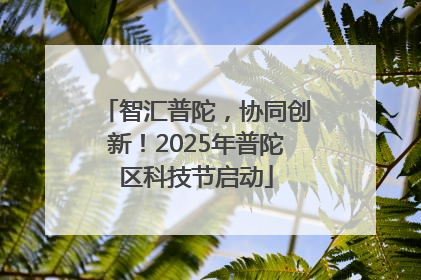智汇普陀，协同创新！2025年普陀区科技节启动