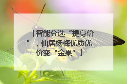 智能分选“提身价”，仙居杨梅优质优价变“金果”